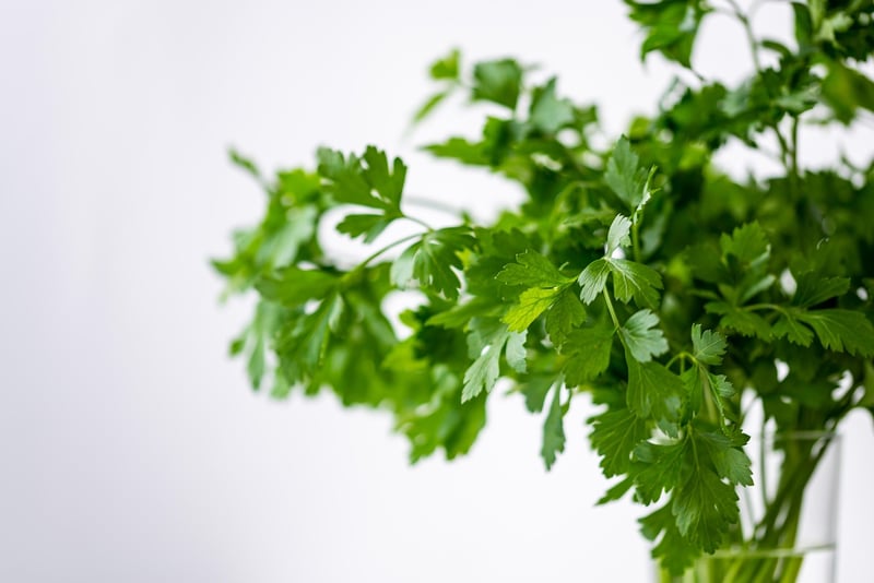 Herb Spiral